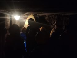 08